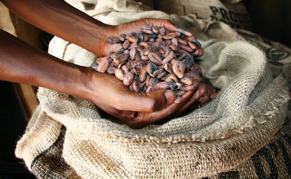 Landbouwers willen meer verdienen aan de chocolade die u koopt